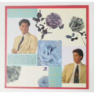 譚詠麟 浪漫經典第二輯 1991 Hong Kong Vinyl LP  香港首版 黑膠唱片 Alan Tam *READY TO SHIP from Hong Kong***